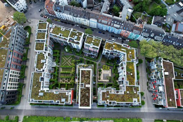green roofs in sustainable design