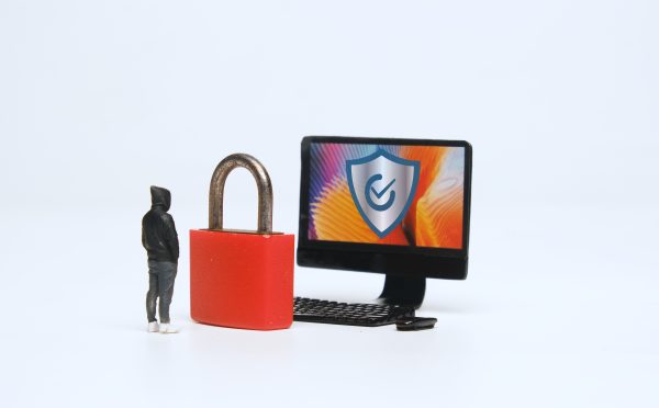 large-scale projects or projects of any size need data security 